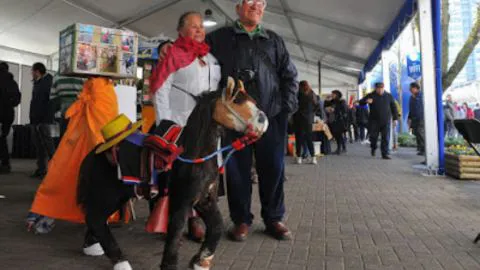 Feria de la Identidad penquista invita a valorar patrimonio local