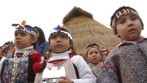 Asignatura sobre el pueblo Mapuche llegaría a los colegios