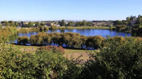 Concepción en sintonía con el planeta y le hace frente al cambio climático