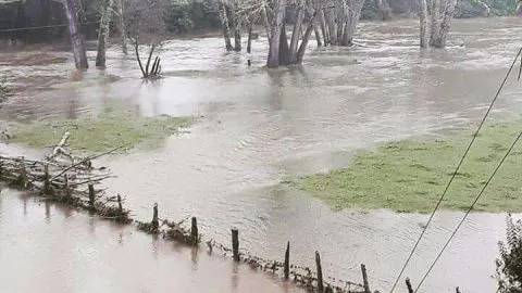 [VIDEO] Vecinos de Tirúa dicen llevar tres dias aislados por desborde de río