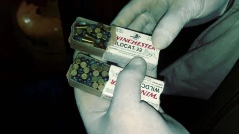 Incautan municiones y droga tras exitoso operativo en Chiguayante