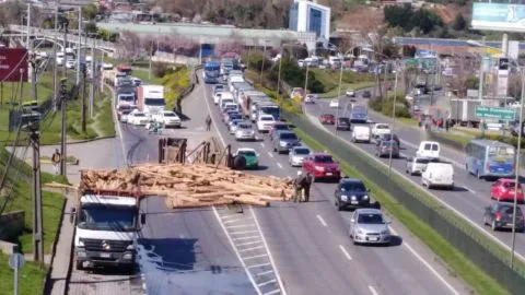 Gigantesco taco en Paicaví tras accidente de camión maderero