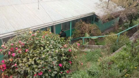 Los relatos que caracterizan el exacerbado machismo del descuartizador de Coronel