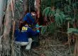 Impacto en Hualqui: ¡Niños encuentran flotando a un hombre muerto!