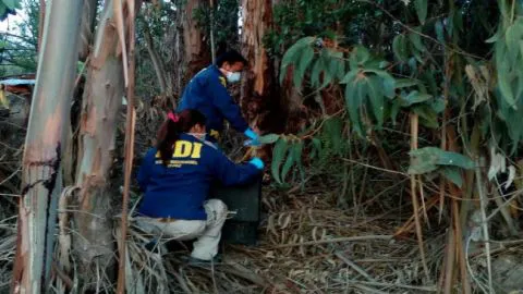 Impacto en Hualqui: ¡Niños encuentran flotando a un hombre muerto!
