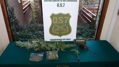 En toma de Concepción detienen a sujeto que traficaba marihuana