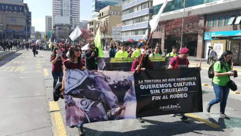 Masiva marcha contra el rodeo se toma las calles de Concepción