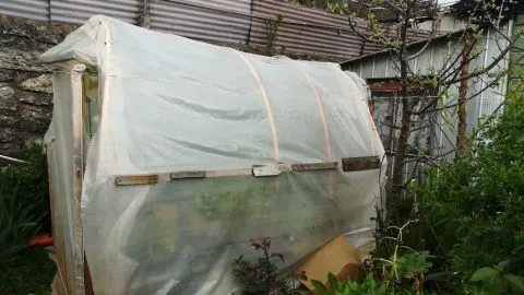 Encuentran droga en invernadero del Valle Nonguén