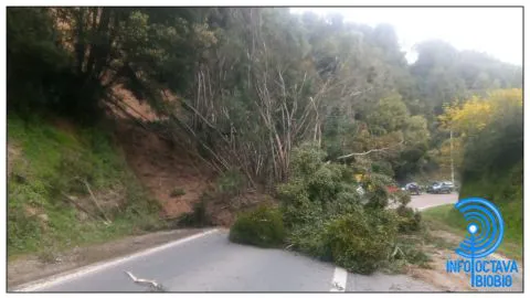 Deslizamiento de cerro corta Ruta N-48 que une Concepción con Florida