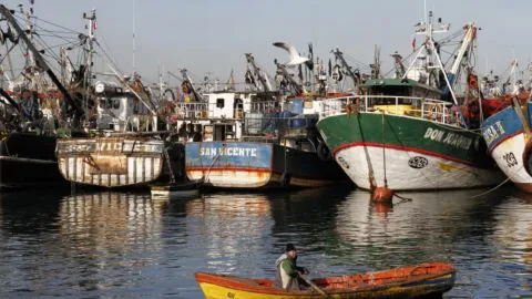 Comisión del Senado aprueba proyecto que modifica Ley de Pesca