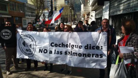 Pesca artesanal, recolectores y algueras de Tomé le declaran la guerra a las salmoneras