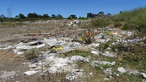 Emblemático caso de relleno de esteros en el humedal Los Batros culminó con millonaria multa