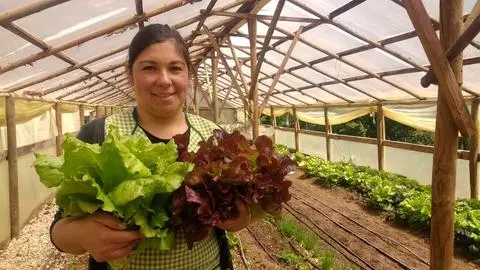 Concepción prepara la celebración del día Internacional de la Mujer Rural