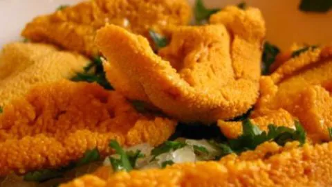 Comienza periodo de veda de diferentes productos del mar