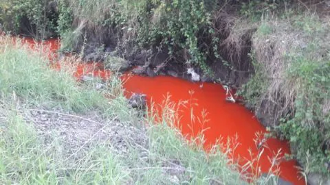 Talcahuano: Sumario contra Mall Plaza El Trébol por teñir de “rojo sangre” el Canal Ifarle