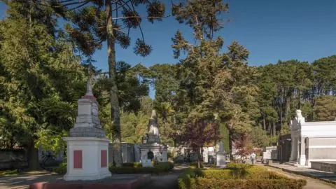 Se inician los circuitos nocturnos por el Cementerio General de Concepción