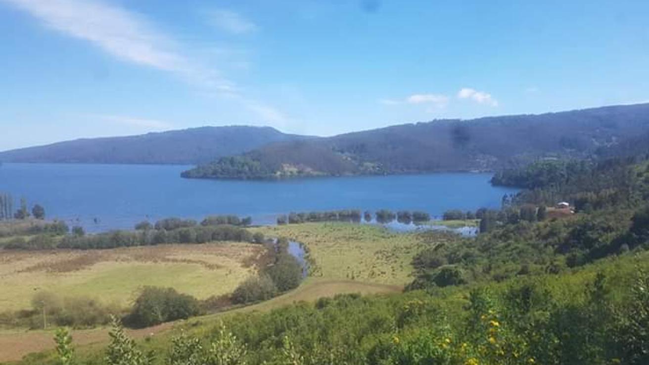 Comunidad mapuche de Contulmo rechazó primera oferta económica de Arauco por restitución de terrenos