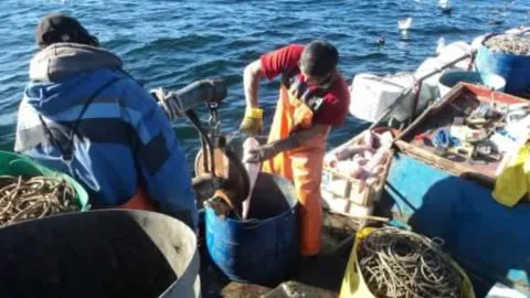 Pescadores del Biobío recurren al Arzobispo de Concepción por ayuda