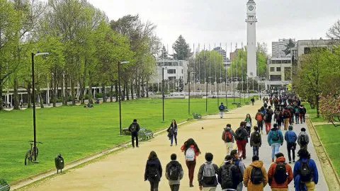 Arrestan a colombiano que vendía drogas dentro de la Universidad de Concepción