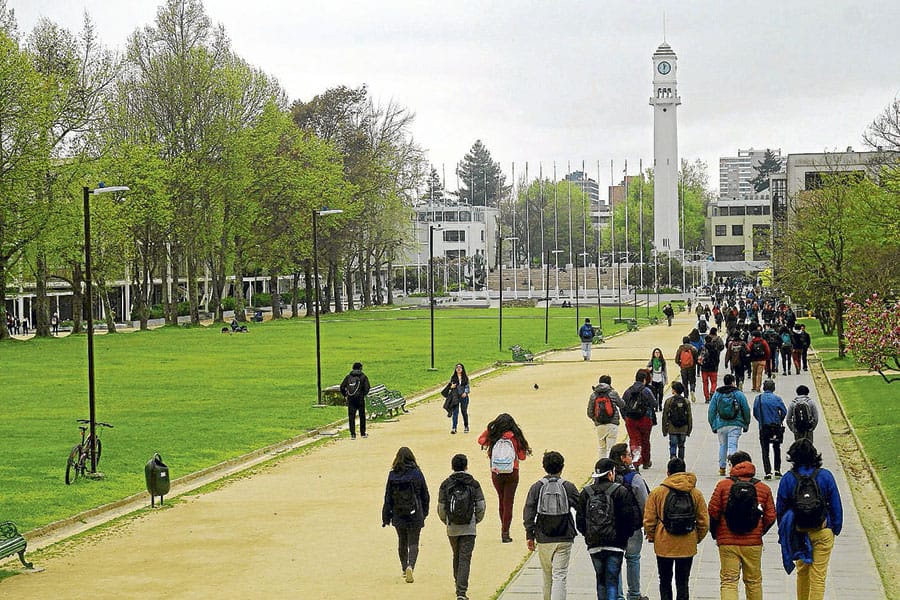 Especialistas analizaron sobre salud y bienestar en torno al Covid-19 en la U. de Concepción