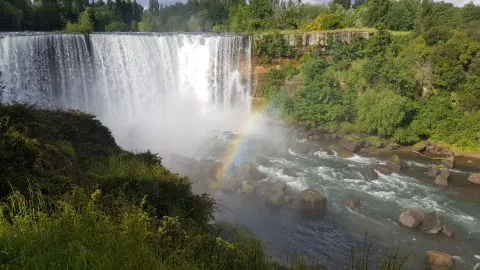 Salto del Laja en su mejor momento en los últimos años