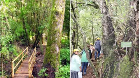 Reserva Nonguén cierra sus puertas por inconvenientes con la naturaleza