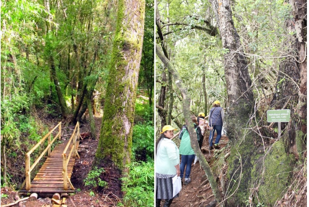 Nonguén es el primer Parque Nacional periurbano de Chile