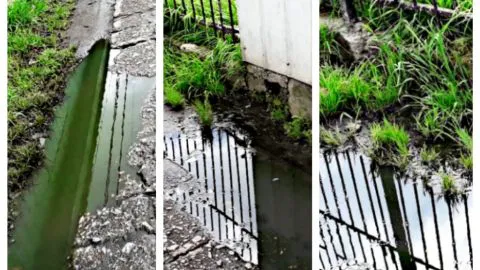 Drama sanitario en Talcahuano: Centenar de familias vive con “lagos de caca” en sus pasajes