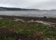 Grave derrame de petróleo en Caleta El Morro denuncian artesanales de Talcahuano