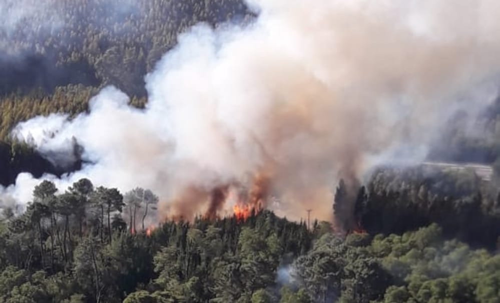 Militares a la calle: La petición de los alcaldes de Florida y Santa Juana por  incendios