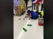 Indignación en RR.SS. por brutal agresión con un bate a mujer embarazada
