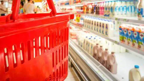¿Cuántos años demora en degradarse el plástico de la canasta básica de los chilenos?