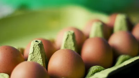 Organización animalista asegura que las feministas no deberían comer huevos