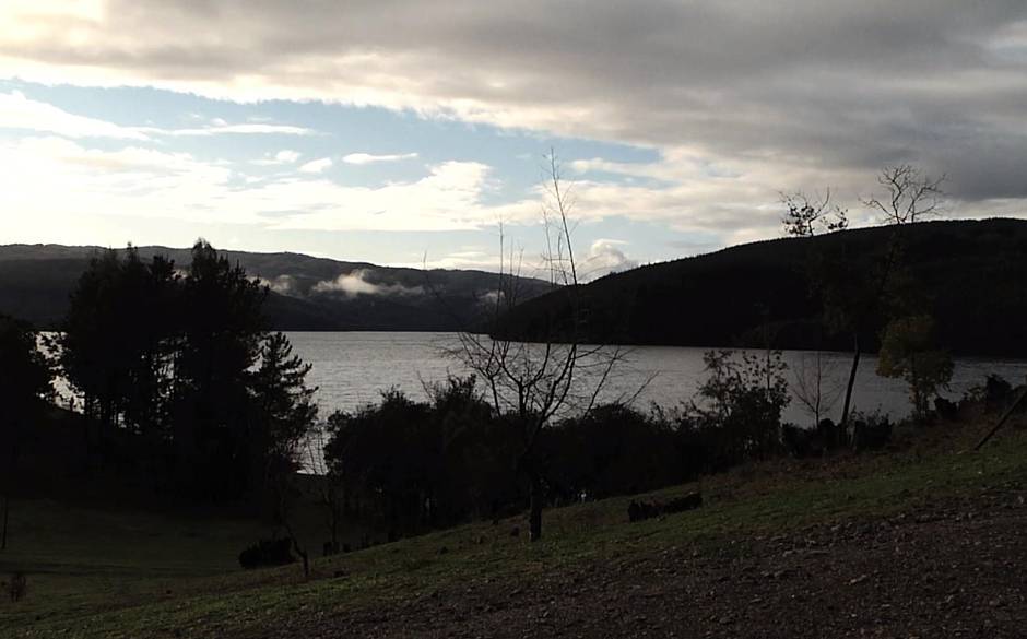 Gerente de empresa Arauco reconoce que no pueden operar en cercanías del lago Lleu Lleu en Contulmo
