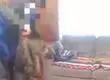 Terrible caso de maltrato animal: Youtuber chileno golpea brutalmente a su gato hasta matarlo