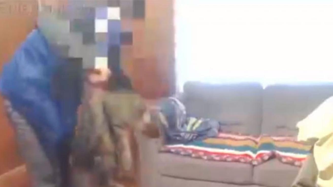 Terrible caso de maltrato animal: Youtuber chileno golpea brutalmente a su gato hasta matarlo