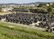 En sus proyectos residenciales y empresariales Inmobiliaria Madesal crecerá con la guía de Empresas B