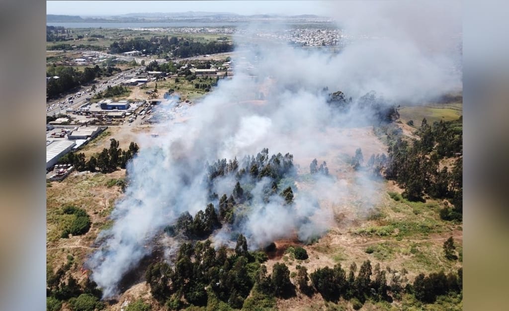 Formalizan a sujeto responsable de generar incendio forestal en Quillón