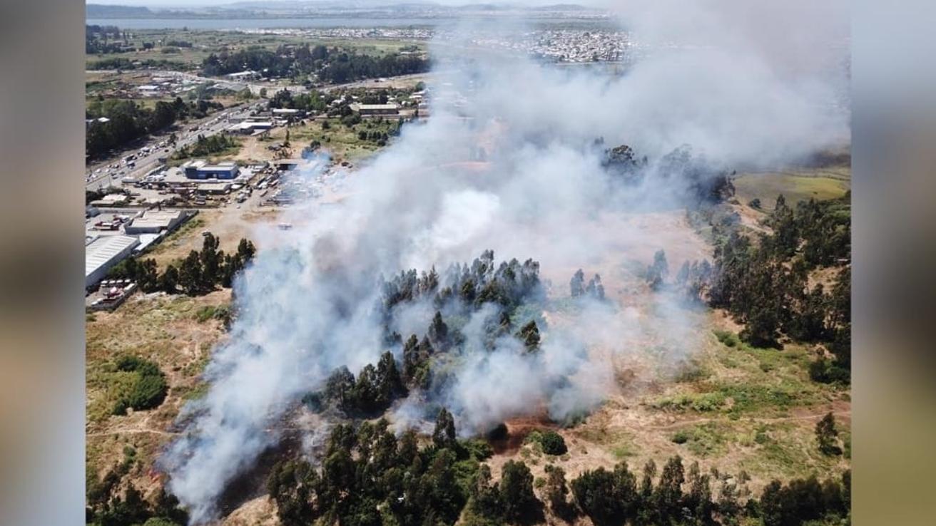 Incendio Forestal consume  con rapidez vegetación en San Pedro de la Paz