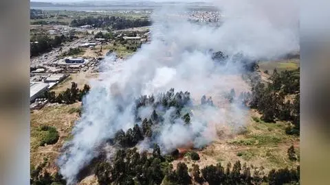 Incendio Forestal consume  con rapidez vegetación en San Pedro de la Paz
