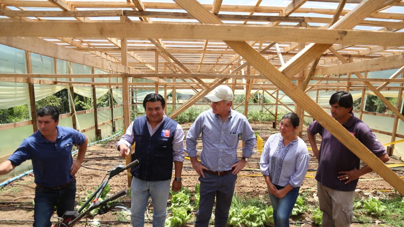 Destacan potencial asociativo de los pequeños productores agrícolas de Biobío