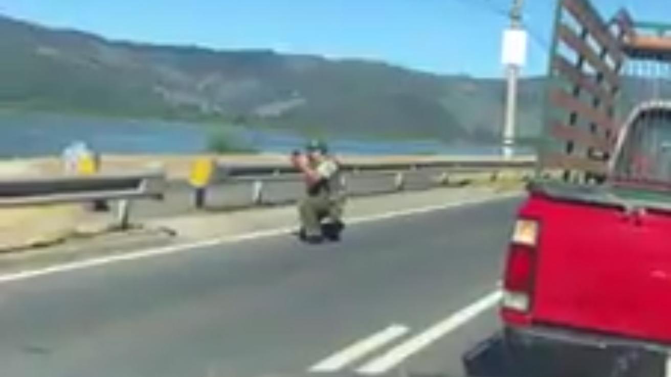 Vídeo muestra momento en que Carabineros dispara a delincuentes en Hualqui
