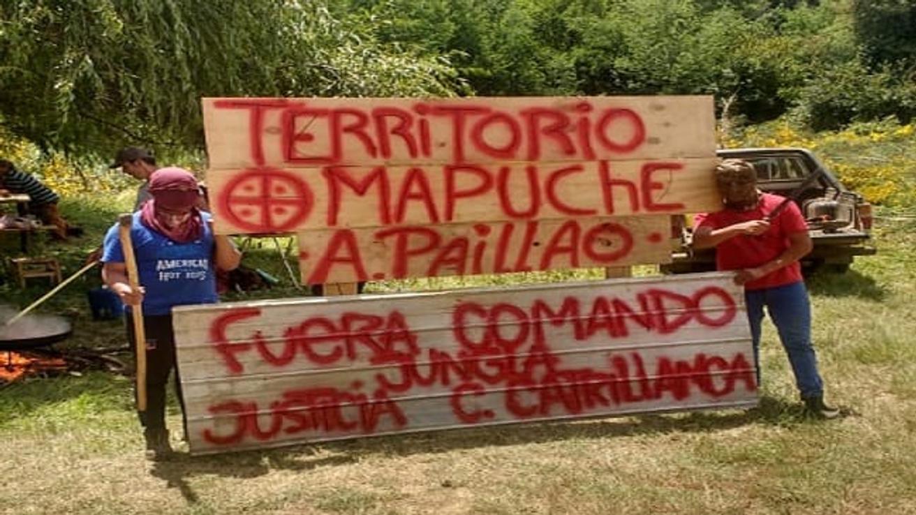 Comunidad del cacique Antonio Paillao hizo ocupación de terreno controlado por Grupo Matte