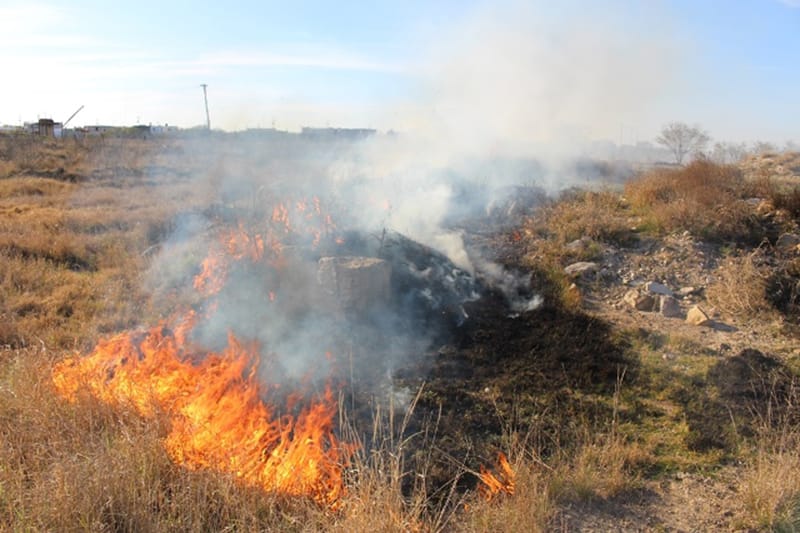 Un hombre de San Pedro de la Paz fue detenido por iniciar incendio