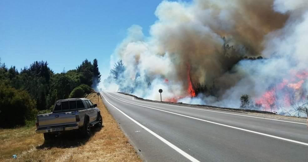 Por ola de incendios forestales: Decretan Alerta Amarilla para la Región del Biobío