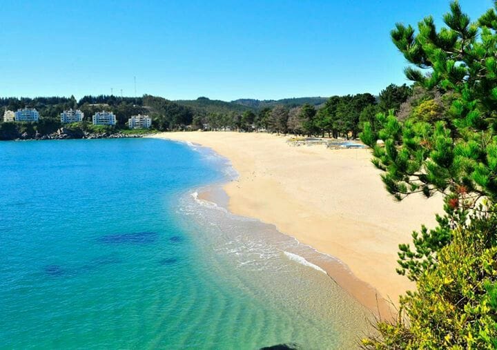 Barrera de Pingueral en el ojo del huracán: ¿te gustaría entrar a la playa?