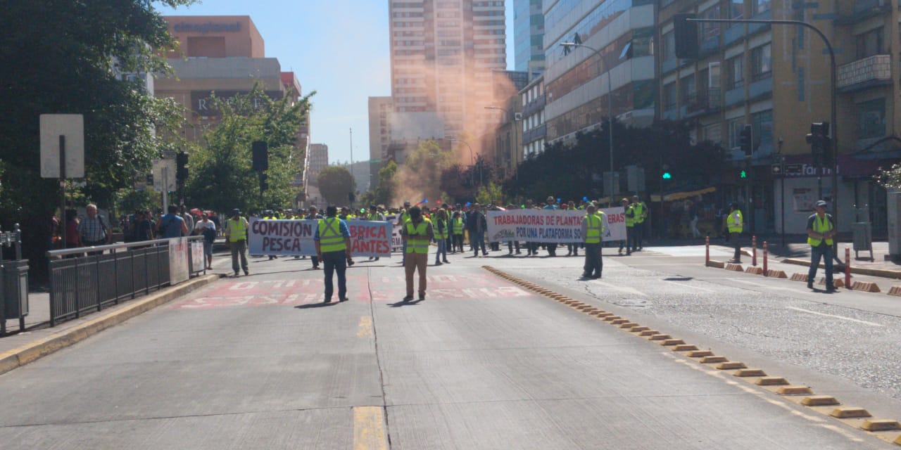 Chalecos amarillos: Industriales pesqueros radicalizan  protestas por la jibia