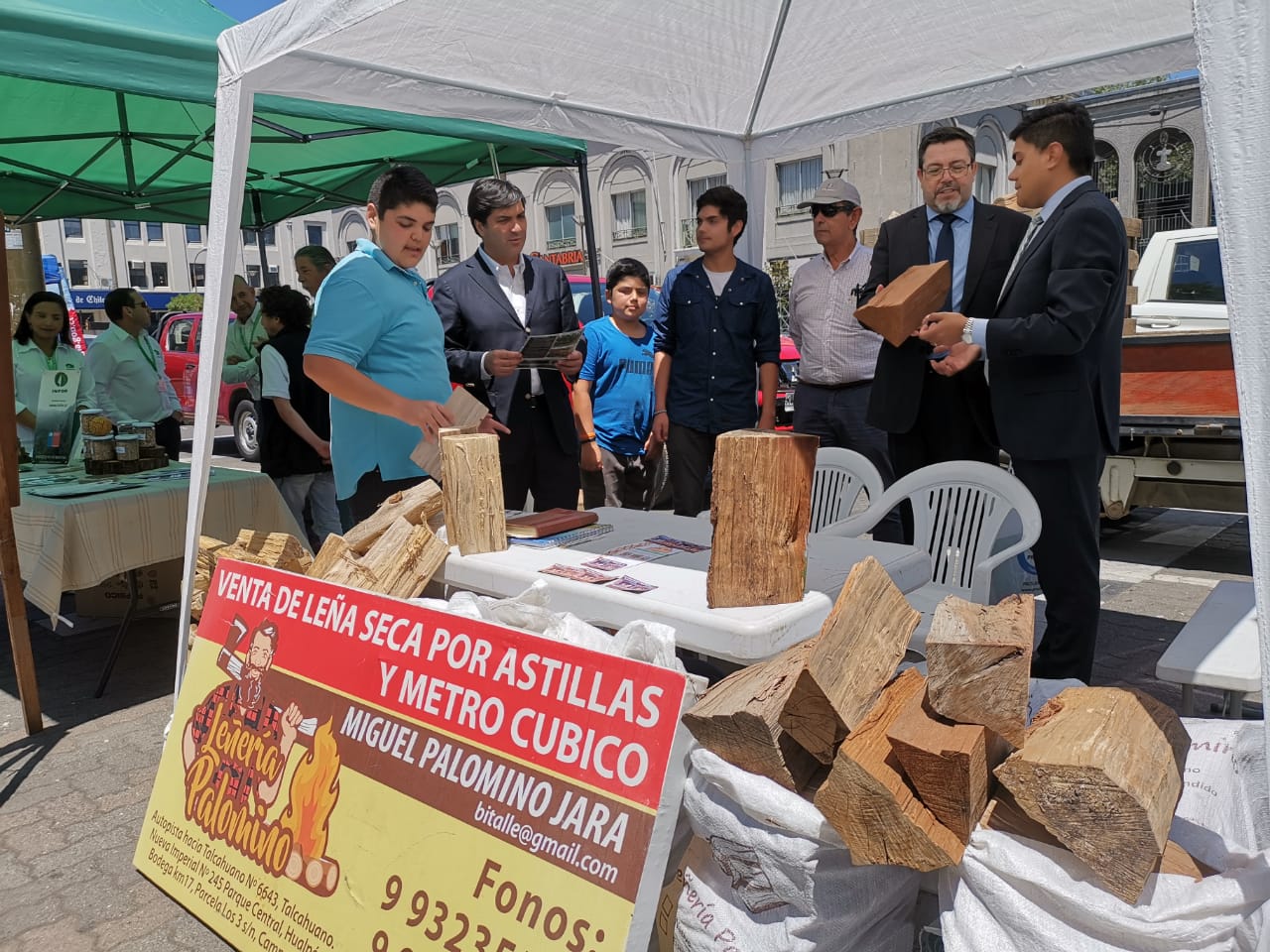 Autoridades llaman a incentivar el buen uso de la leña en el Biobío