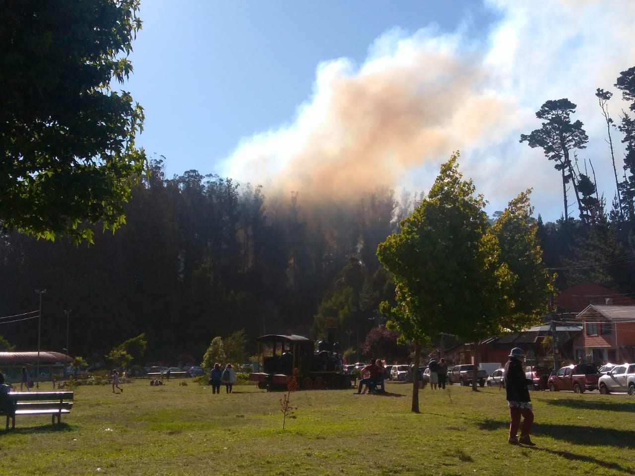 ¡Incendio forestal amenaza el Anfiteatro de San Pedro de la Paz!