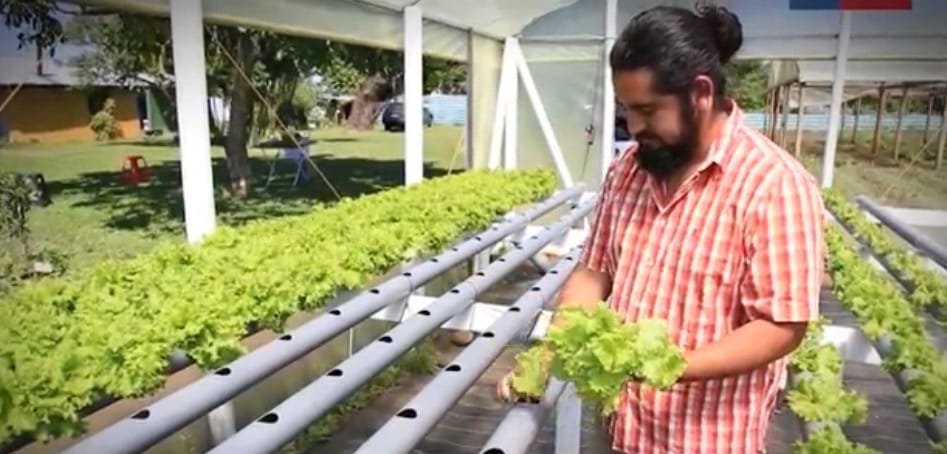 La importante reunión para que jóvenes rurales puedan vivir del trabajo en el campo
